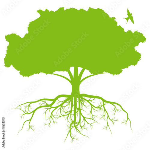 Vector: Tree with roots background ecology vector Tree with roots background ecology vector