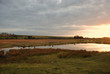 Marsh