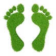 green herbal human footprints