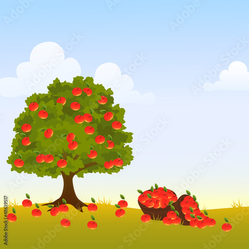 Vector: Apple tree Apple tree