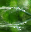 Wassertropfen