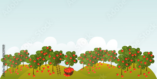 Vector: Apple garden Apple garden
