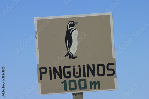 Photo: Penguin warning Penguin warning