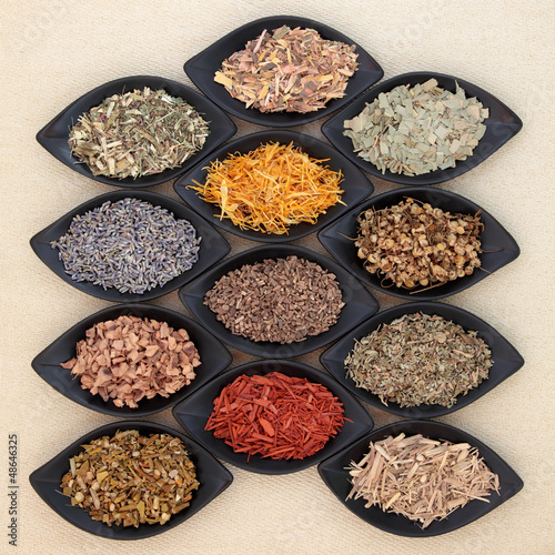 Photo: Magical and Medicinal Herbs Magical and Medicinal Herbs