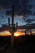 Desert Sunset