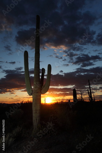 Photo: Desert Sunset Desert Sunset