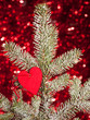 heart on christmas fir tree branch