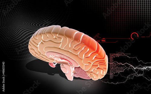 Illustration: Brain Brain