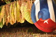 Photo: Cuba's tobacco production Cuba's tobacco production