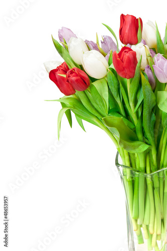 Photo: tulips tulips