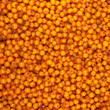 sea-buckthorn
