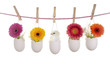 Leine mit Eiern – gefüllt mit bunten Blumen und Hühnerküken