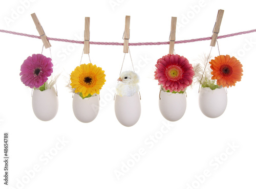 Photo: Leine mit Eiern – gefüllt mit bunten Blumen und Hühnerküken Leine mit Eiern – gefüllt mit bunten Blumen und Hühnerküken
