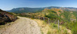 Cévennes - vers l'Aigoual