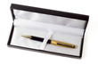 case on the white background