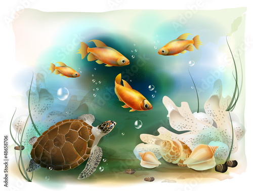 Vector: illustration of the tropical underwater world illustration of the tropical underwater world
