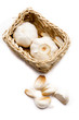 Knoblauch