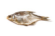 Fisch