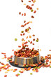 pet food falls into the bowl for feeding