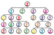 Organisational structure