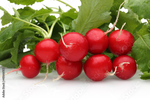 Photo: fresh radish fresh radish