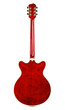 Photo: Semi-hollow Guitar Back Semi-hollow Guitar Back