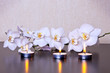 Candle & Orchid