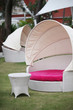 Deck chairs.
