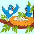Illustration: of an angry male birds found crocodile of an angry male birds found crocodile