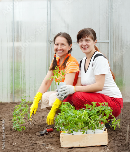 Photo: women planting tomato spouts women planting tomato spouts