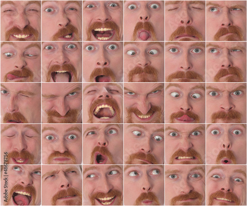 Photo: Details of large facial expressions Details of large facial expressions