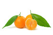Tangerine isolated