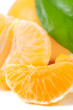 Tangerine isolated
