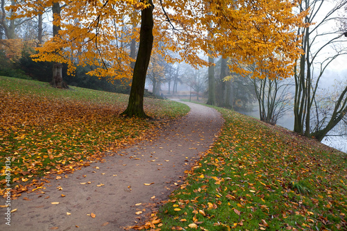 Photo: path in autumn park path in autumn park