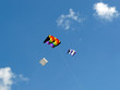 Bunte Drachen am Himmel über Föhr