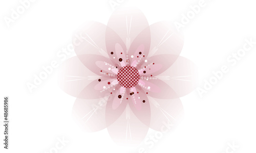 Vector: zarte rosa Kirschblüte zarte rosa Kirschblüte