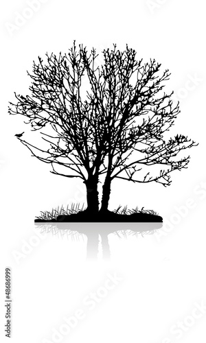 Vector: Baum auf einer Insel im See Baum auf einer Insel im See