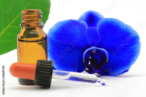 Photo: orchidee mit tropfen orchidee mit tropfen