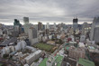 Tokyo skyline