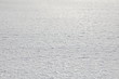 Photo: Snow surface background Snow surface background