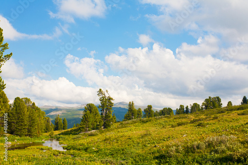Photo: Beautiful summer landscape. Altai. Russia Beautiful summer landscape. Altai. Russia