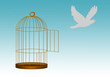 Gilded cage escape concept, freedom metaphor