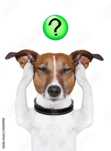 Photo: dog question mark dog question mark