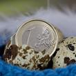 1 Euro