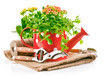green plant in red watering can with garden tool isolated