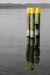poller 2
