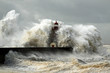 Windy Coast Windy Coast