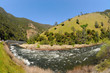 Yosemite National Park IV