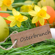 Foto: Osterbrunch Osterbrunch