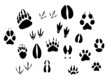 Vector: Animal footprints silhouettes Animal footprints silhouettes